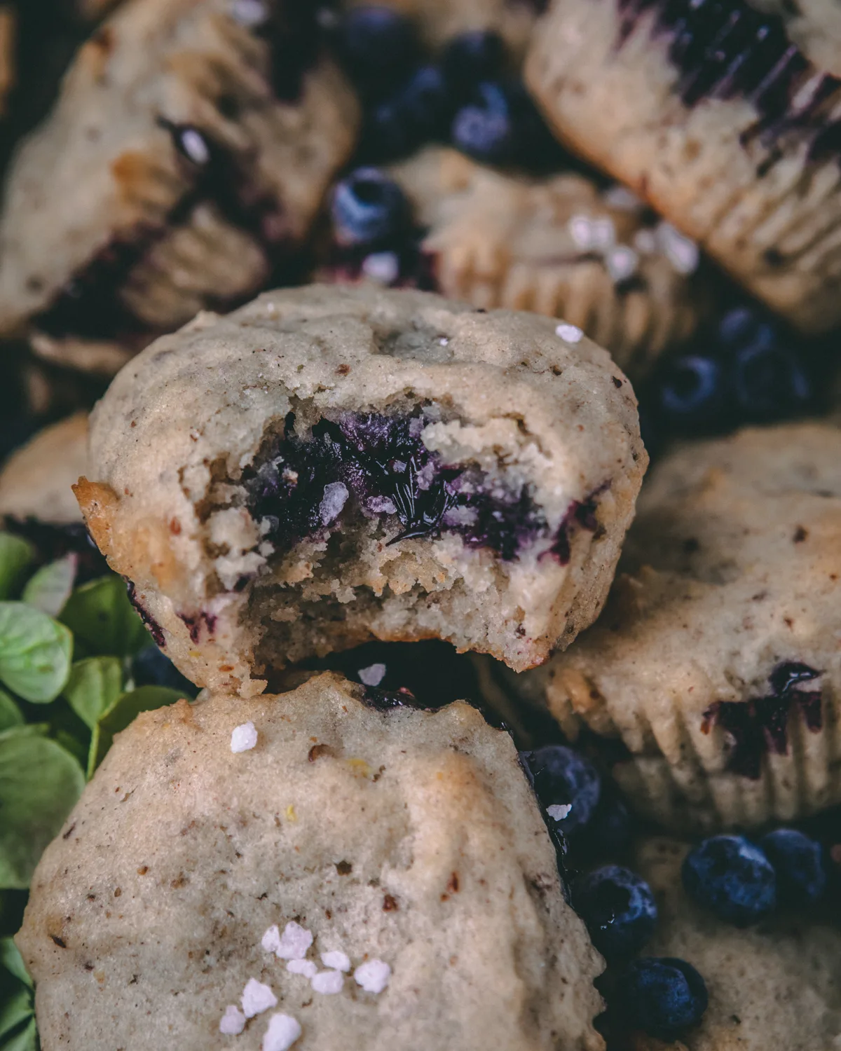 close-up-of-blueberry-muffin