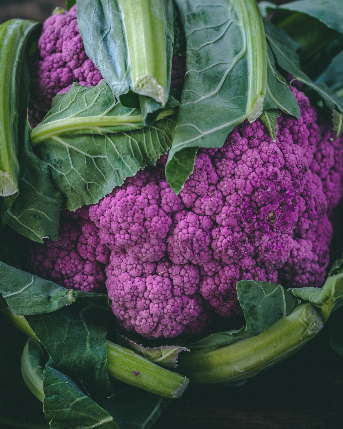 up close of purple cauliflower